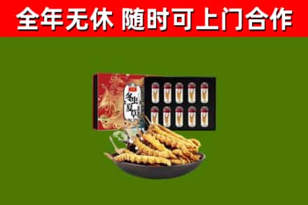 梨树回收冬虫夏草价格
